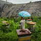 Image for article titled Modern Day Hermits and Robinson Crusoes